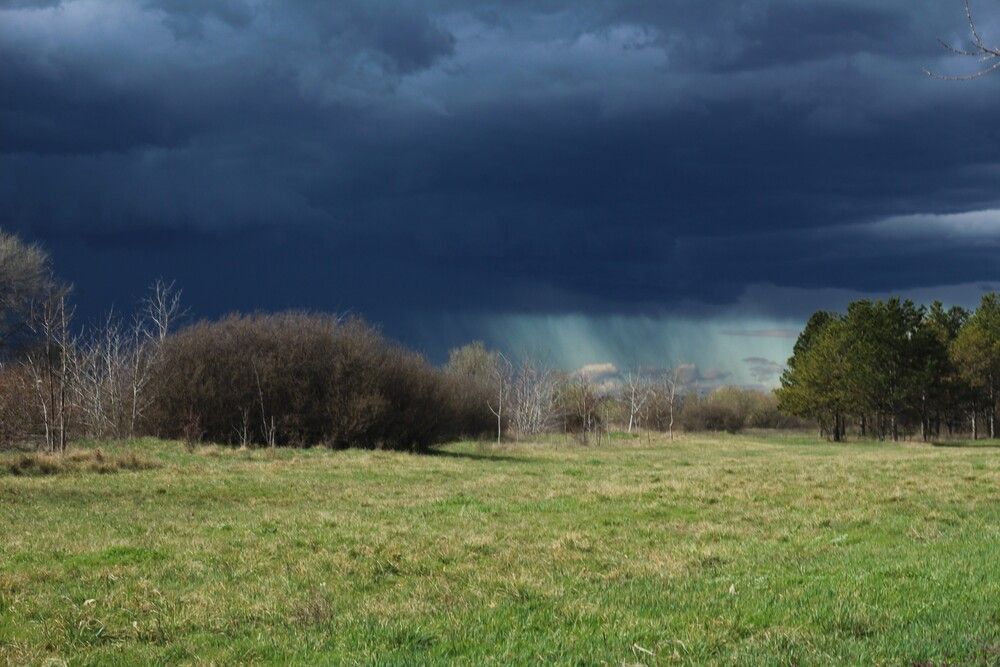 Photograph by Любовь Войводич