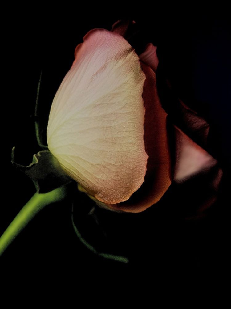 Photograph by Наталья Лощилина