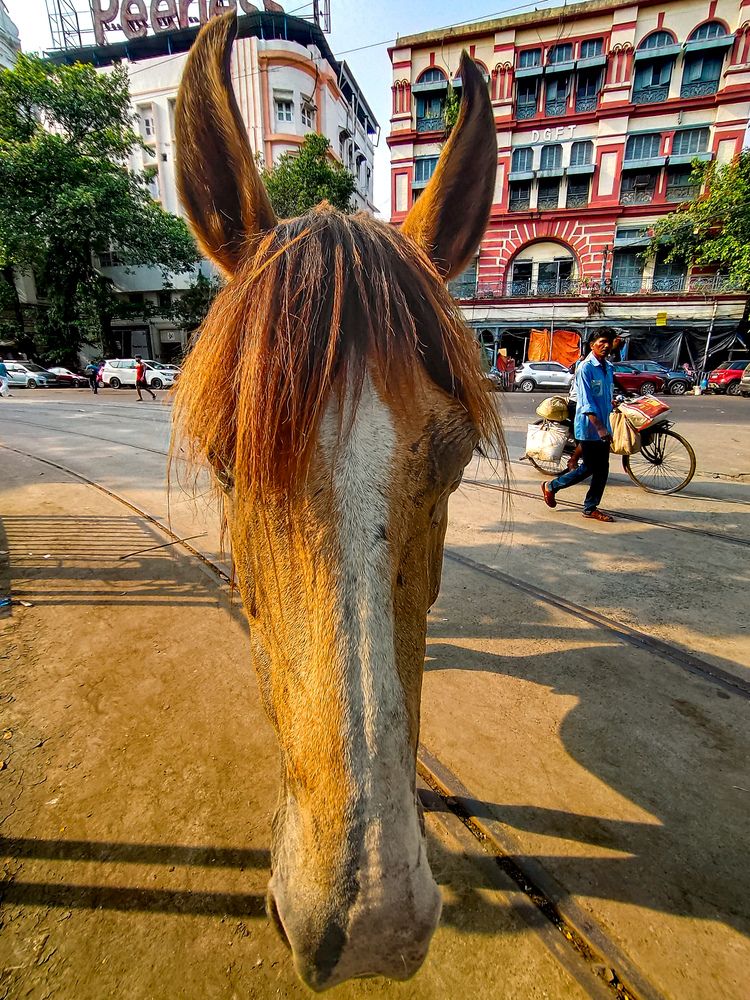 Фотография автора Asamanj Maiti