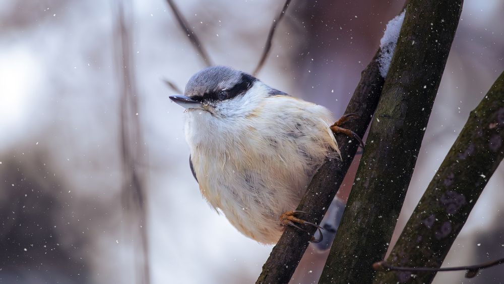 Photograph by Парфентьев Антон