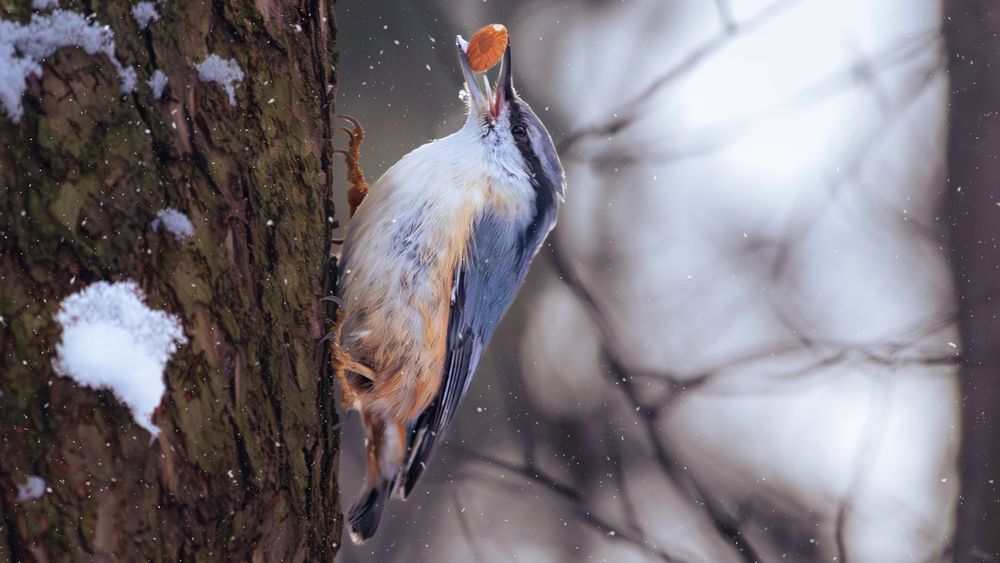 Photograph by Парфентьев Антон