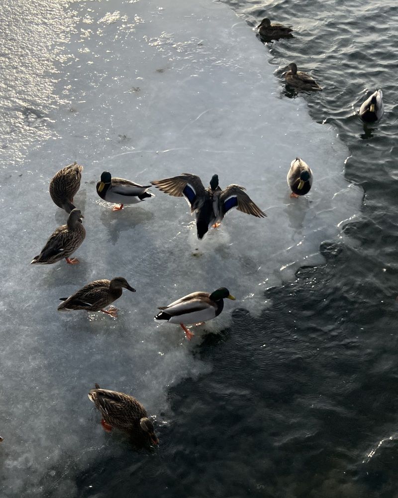 Photograph by Ксения Гулькова