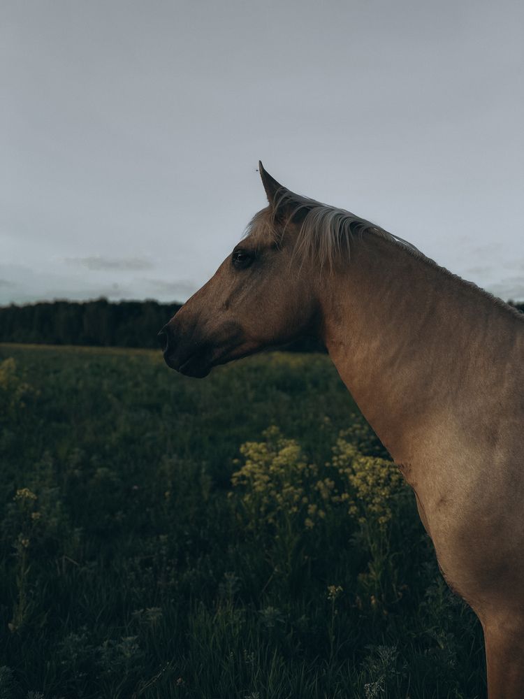 Photograph by Ксения Гулькова