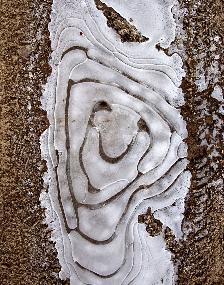 Photograph by Владимир Шишкин