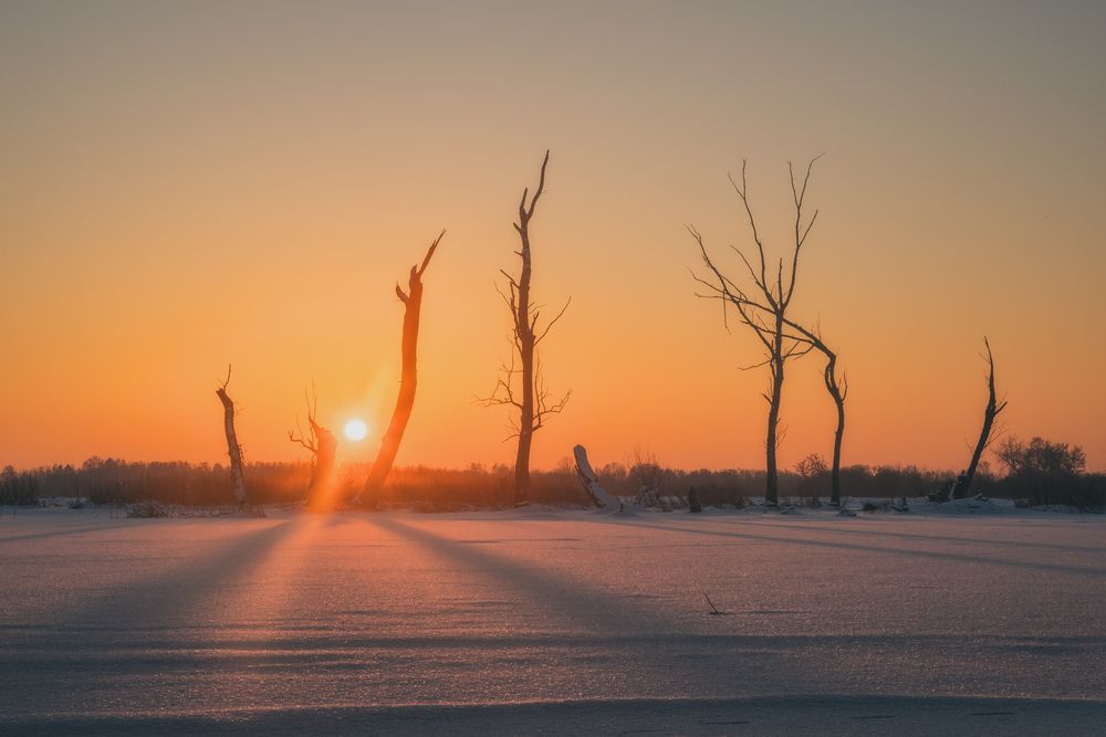 Photograph by Budyta Dariusz