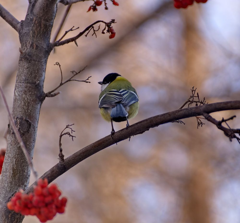 Photograph by Владимир Валерьевич Михеев