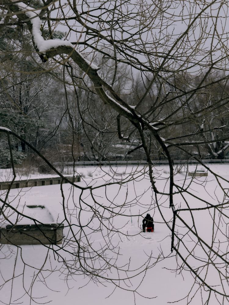 Фотография автора Анастасия Терехова