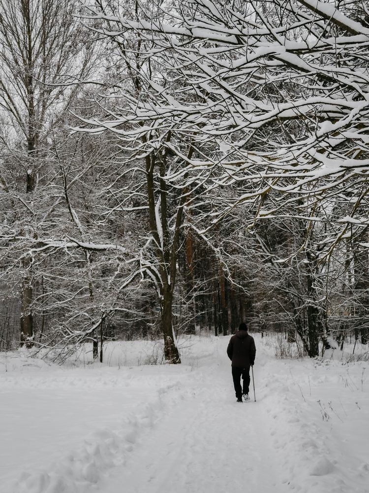 Фотография автора Анастасия Терехова