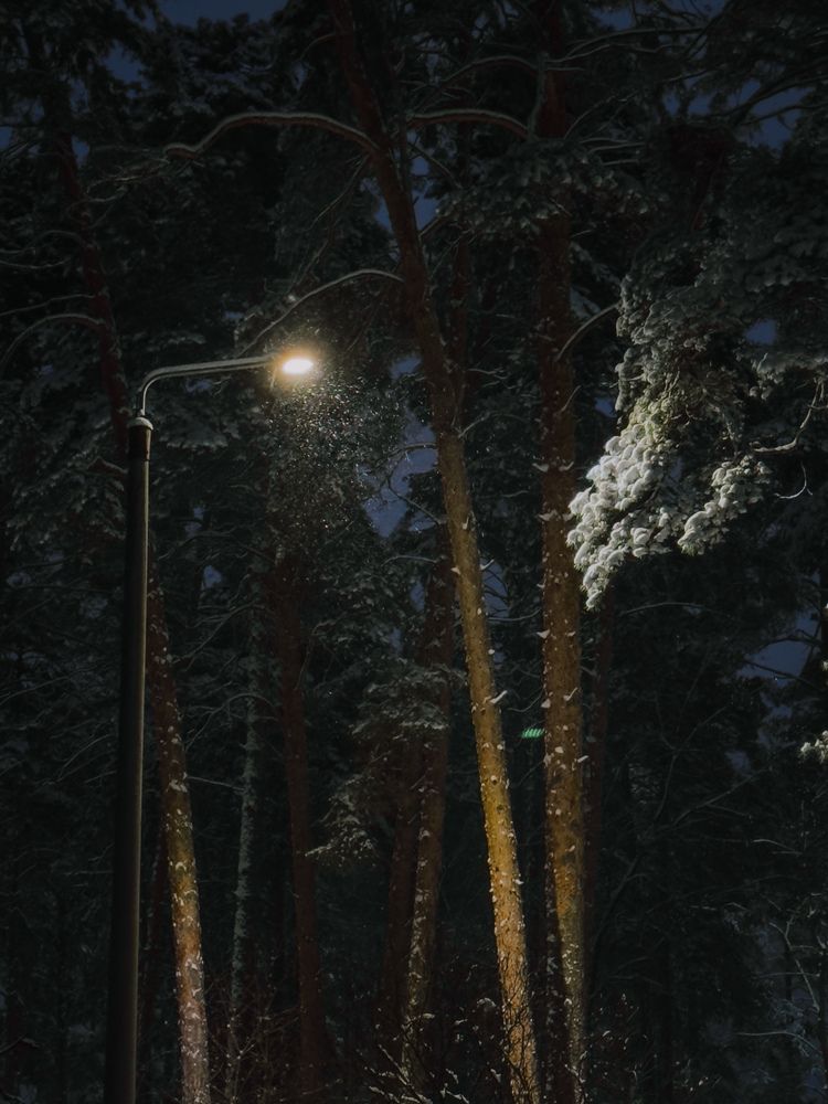 Фотография автора Анастасия Терехова