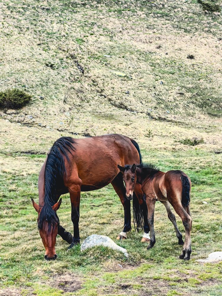 Photograph by Алексей Гуминский