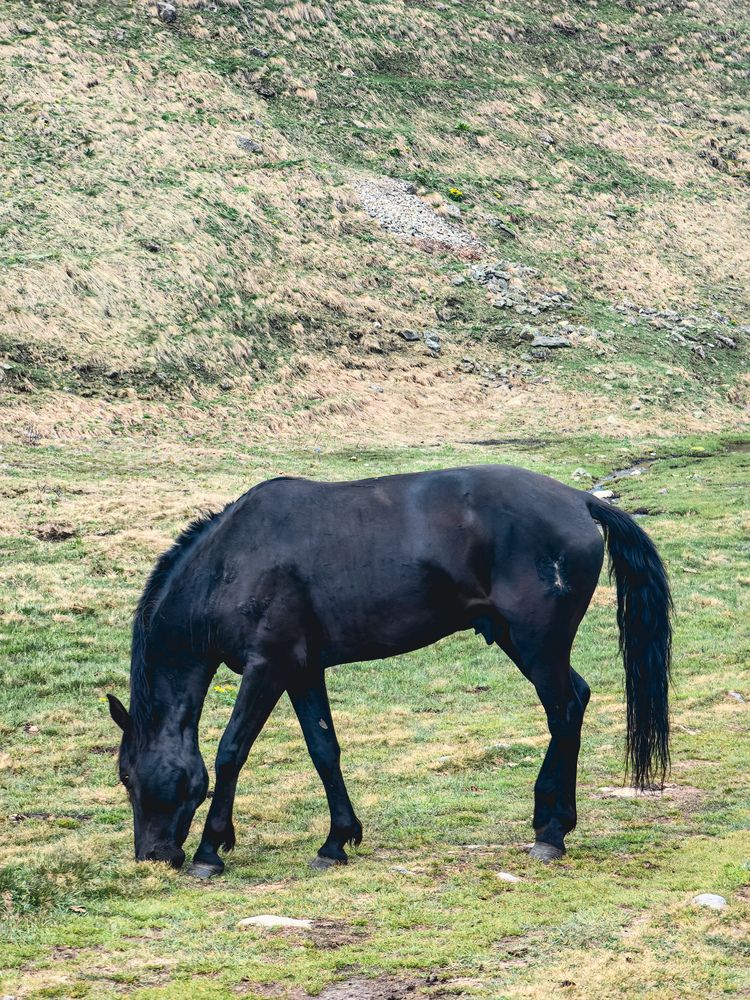 Photograph by Алексей Гуминский