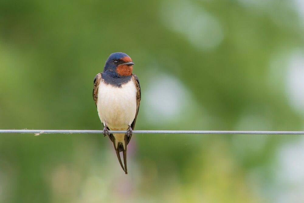 Photograph by Marianna Klein