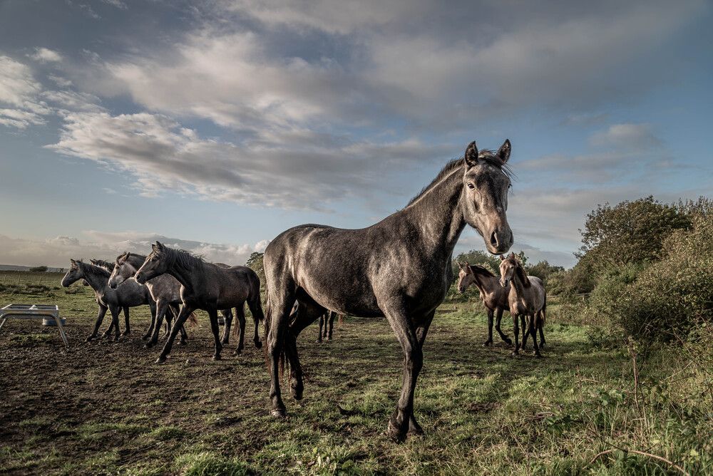 Photograph by Marcin Bochenek