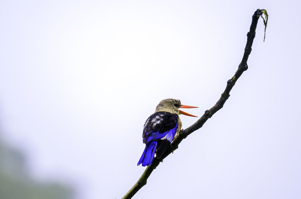 Photograph by Nuwair ALHajeri