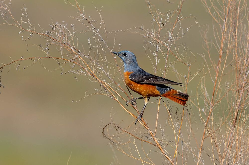 Photograph by Evgenia Sevryukova