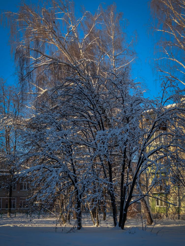 Фотография автора Милорадов Илья