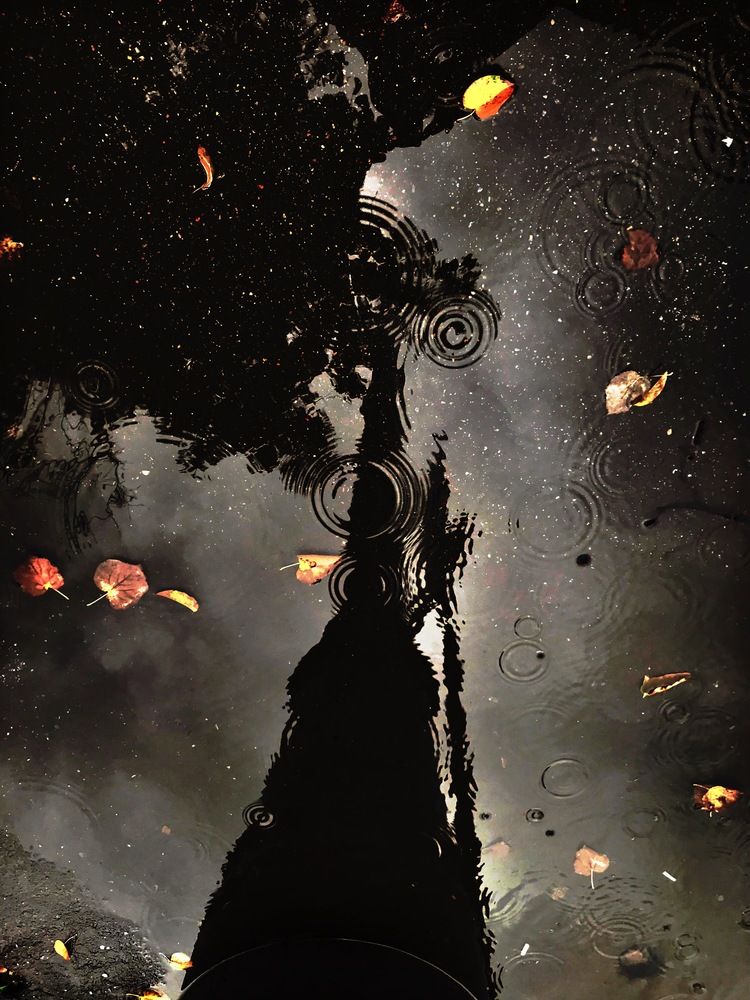 Фотография автора Климентий