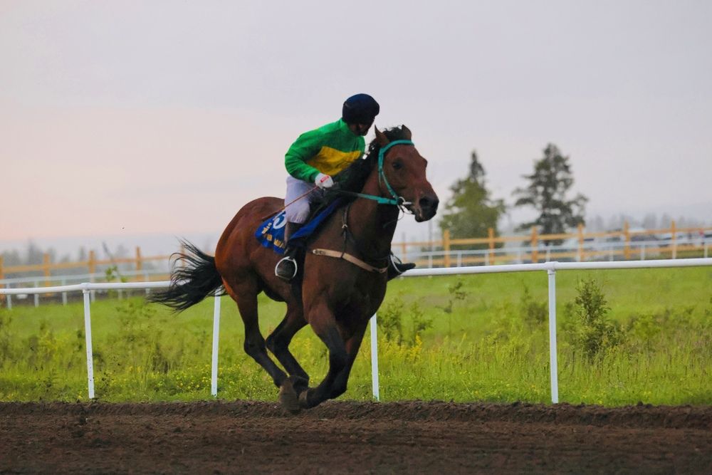 Фотография автора Голубков Леонид
