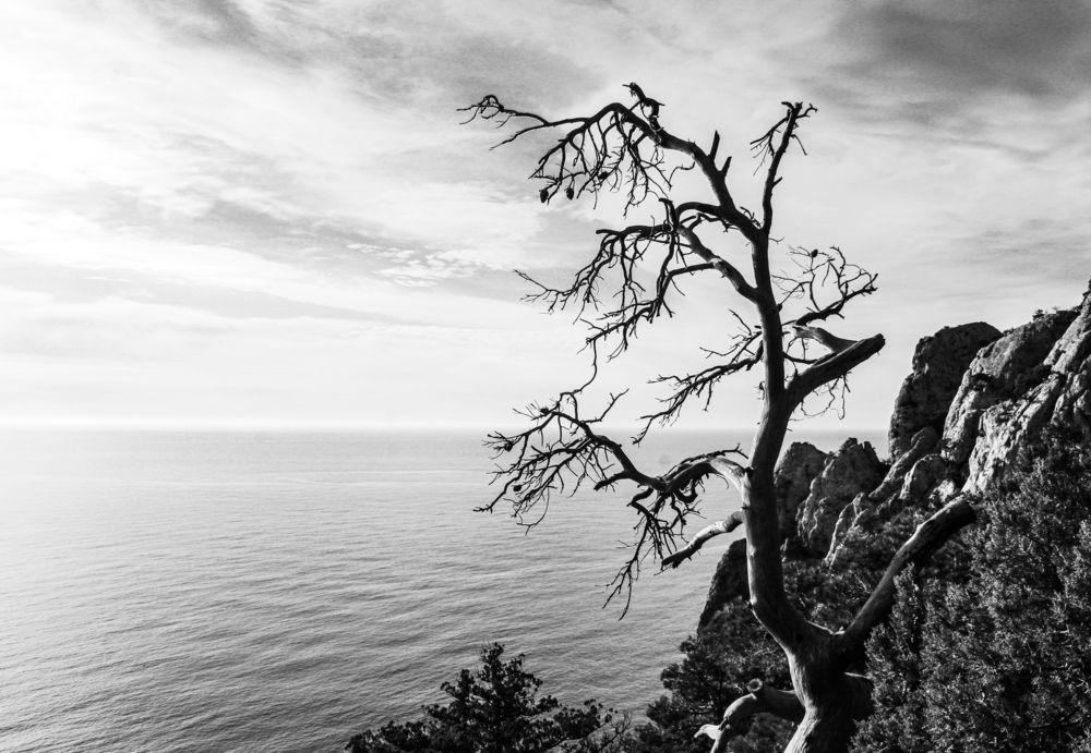 Photograph by Евгения Флиорчук