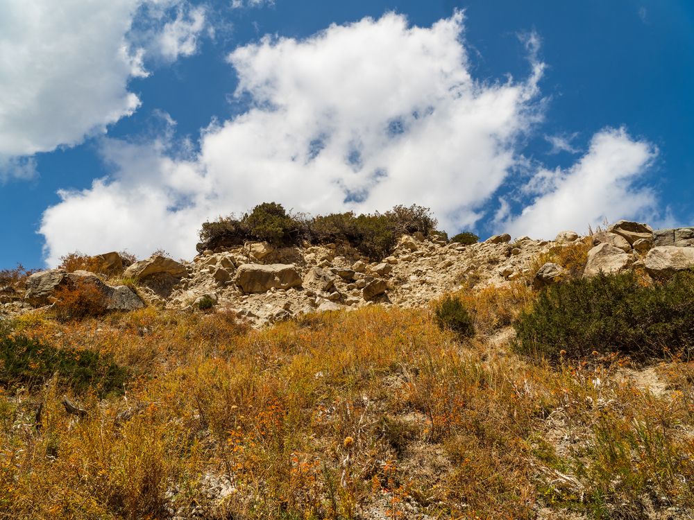 Photograph by Татаринов Валерий