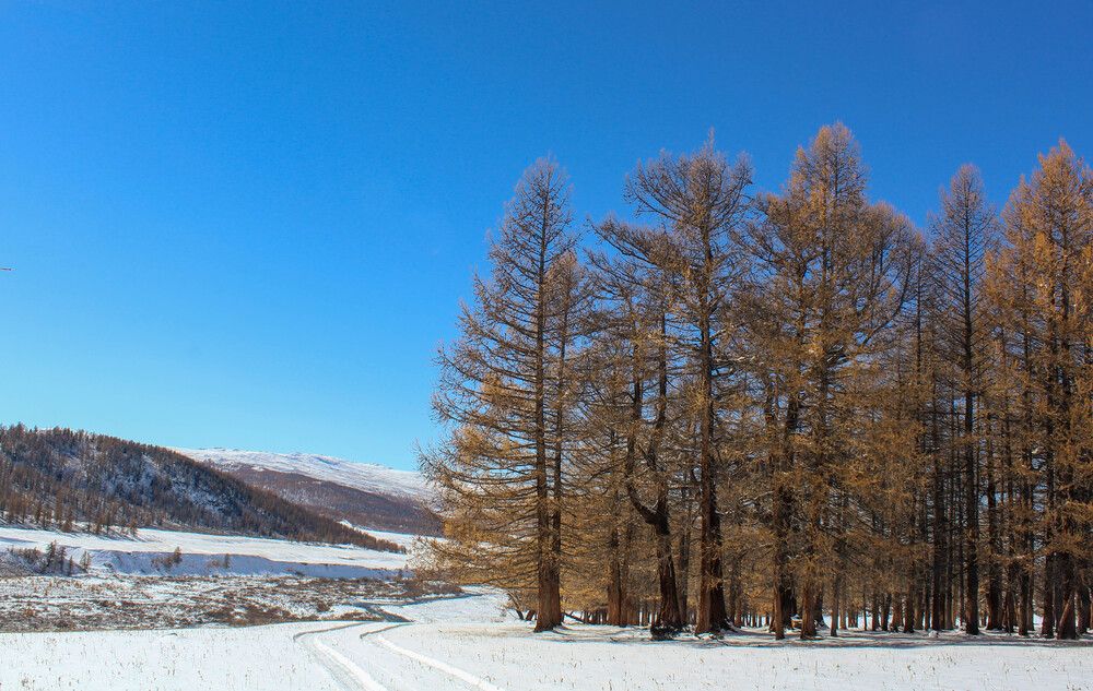 Горный воздух