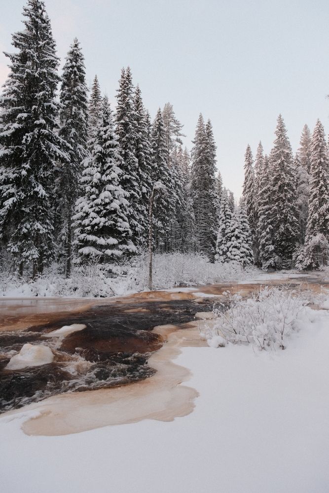 Photograph by Лапшин Алексей