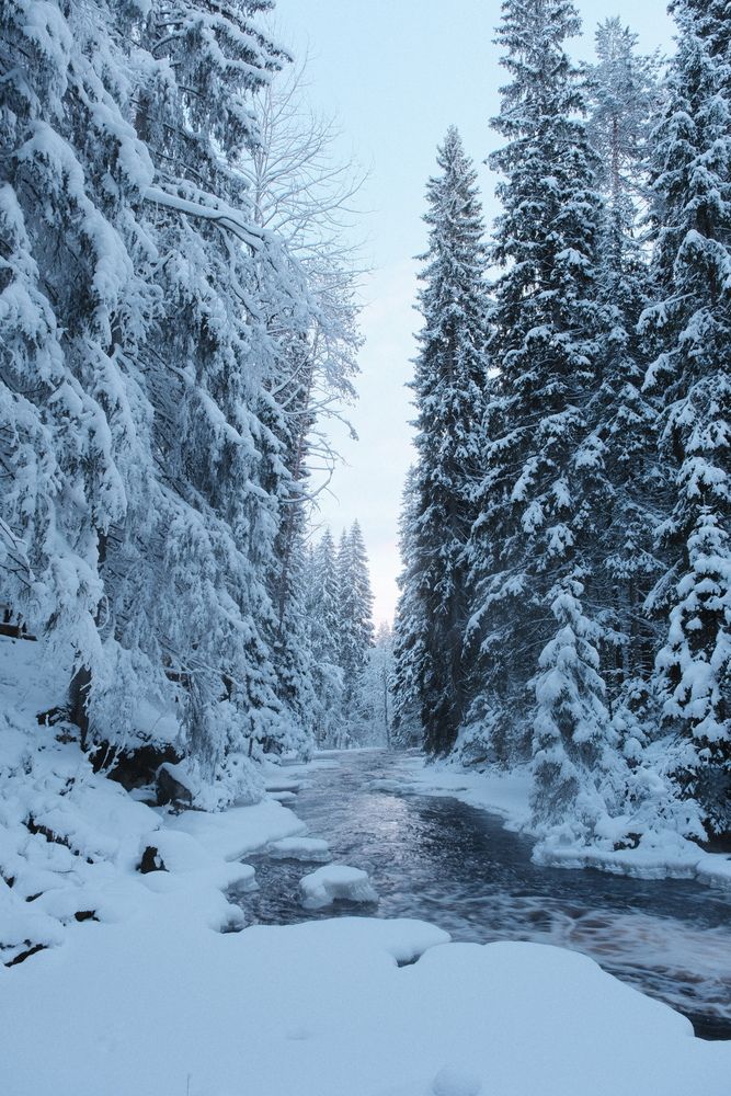 Photograph by Лапшин Алексей