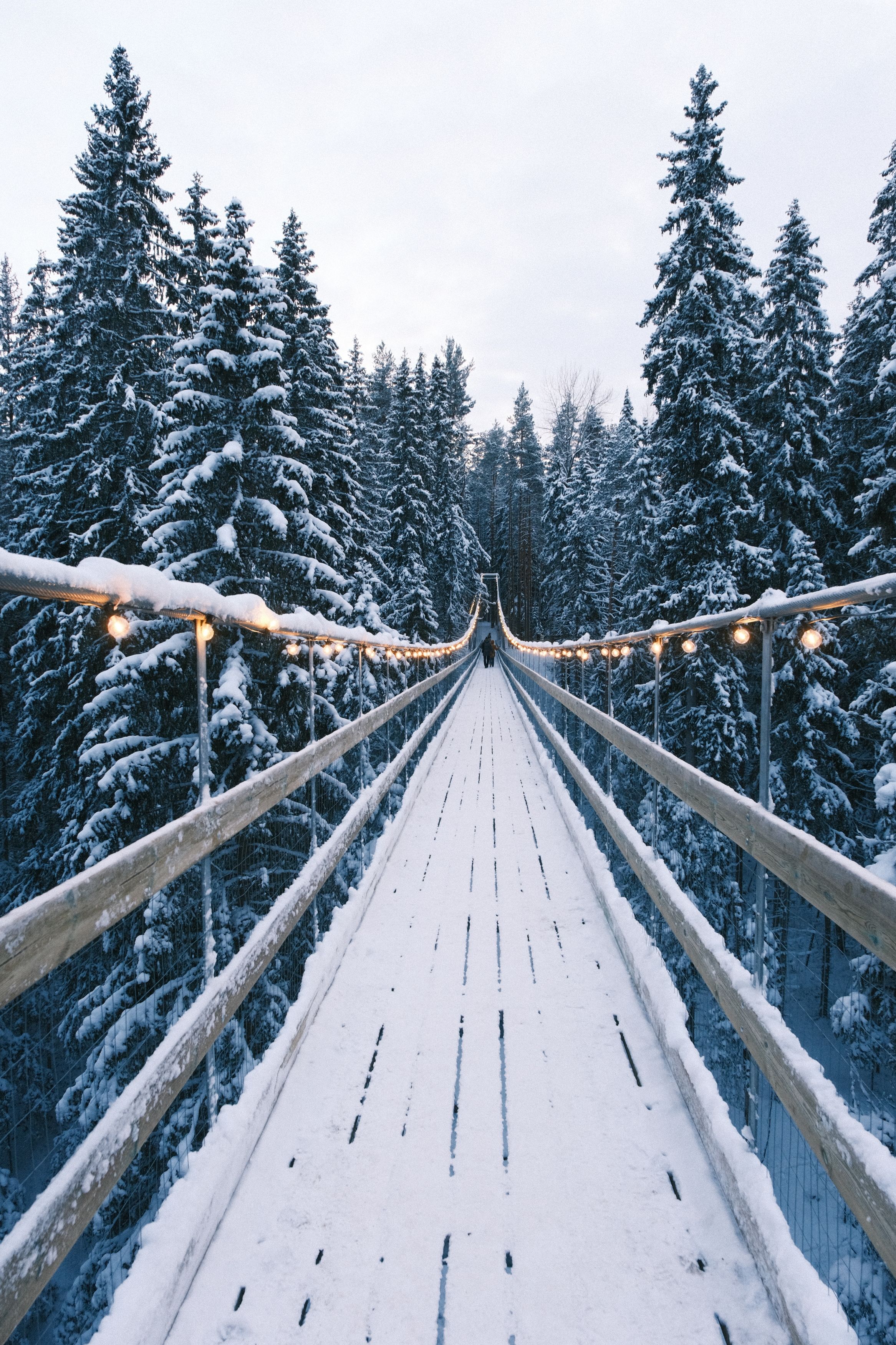 Photograph by Лапшин Алексей