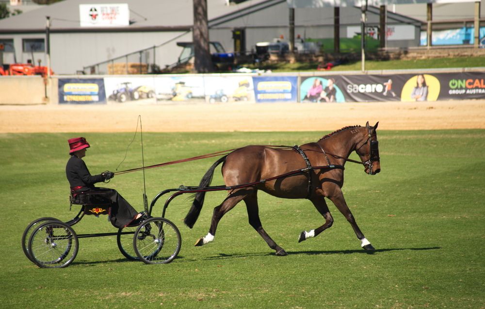 Photograph by Iurii Borisov