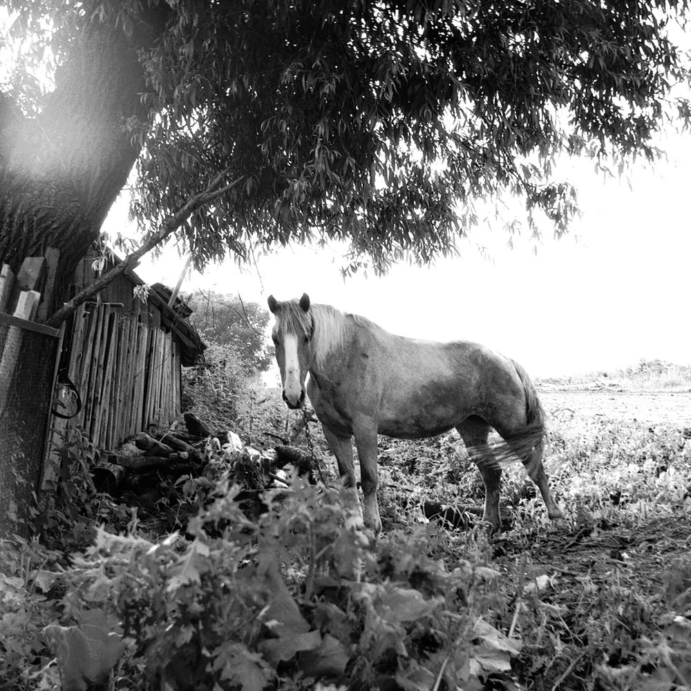 Photograph by Iurii Borisov