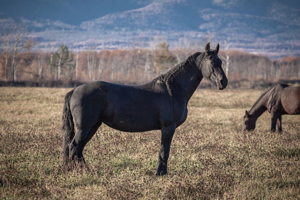 Photograph by Наталья Островцева