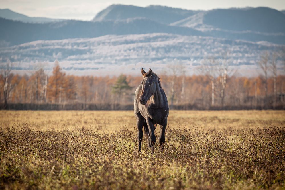 Photograph by Наталья Островцева