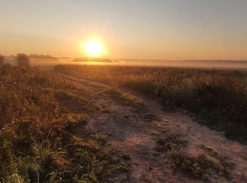 Photograph by Алексей Болтунов