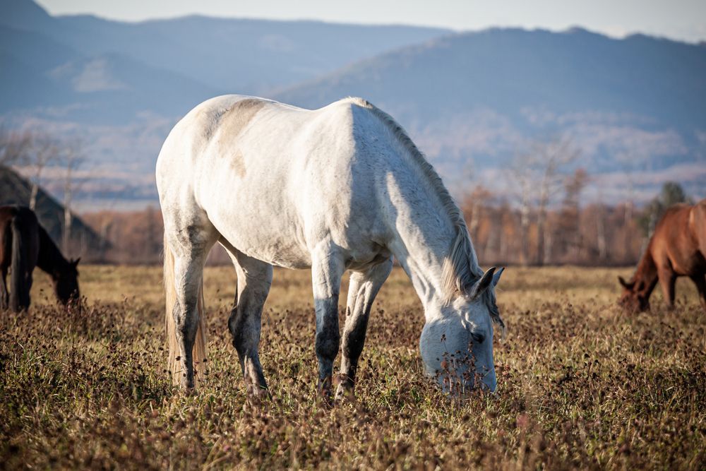 Photograph by Наталья Островцева
