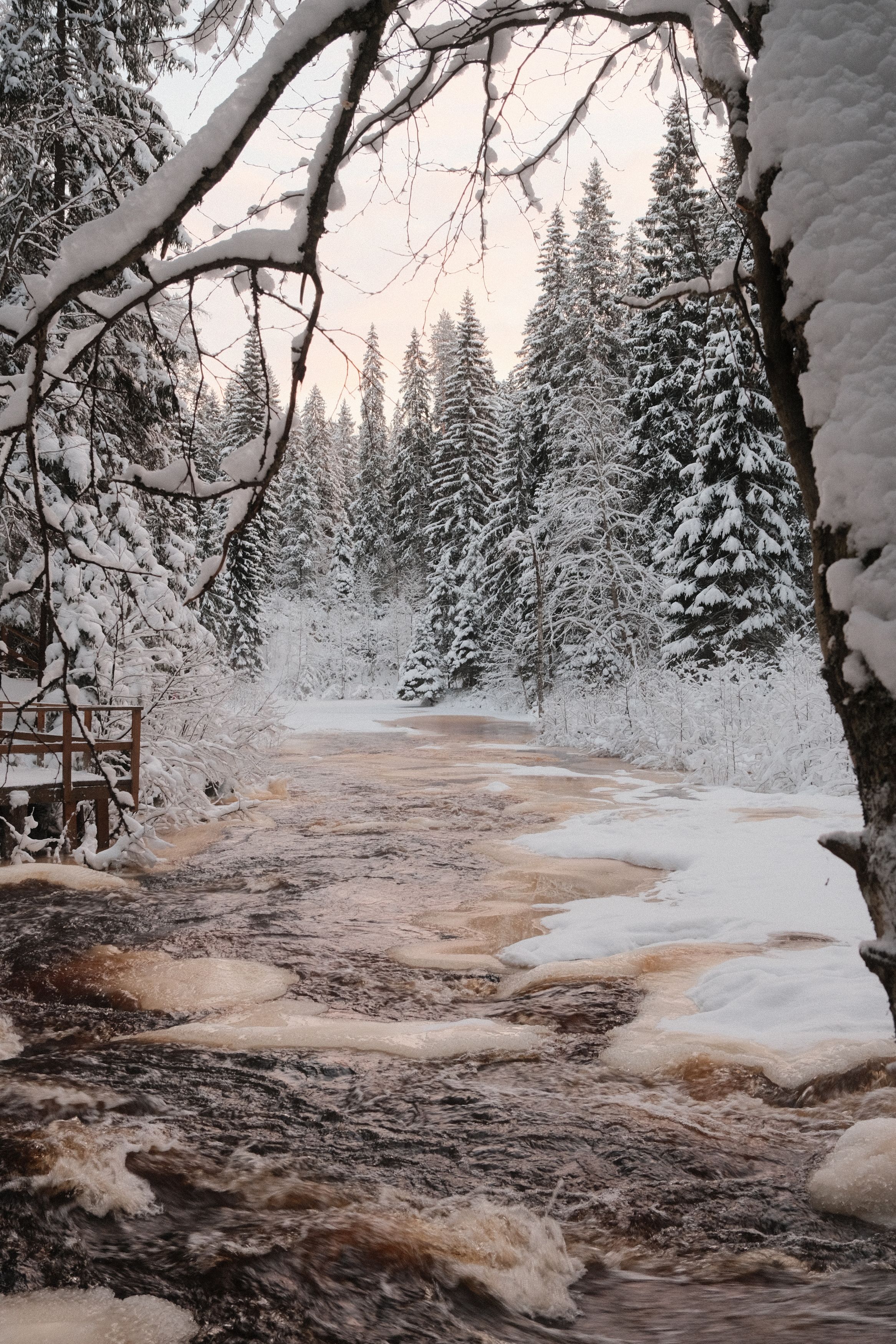 Photograph by Лапшин Алексей