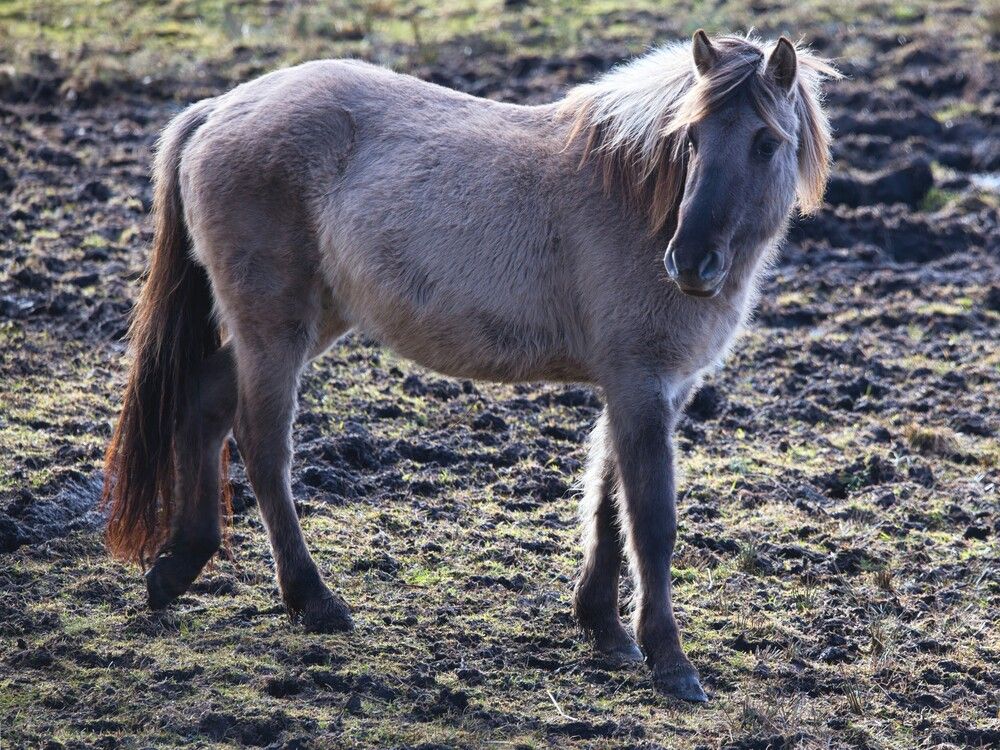 Фотография автора Janis Serdienis