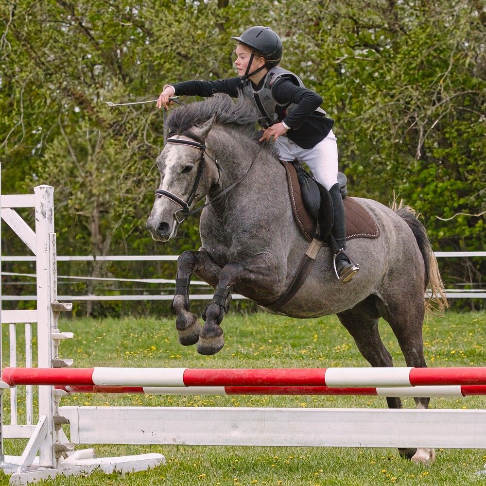 Фотография автора Janis Serdienis