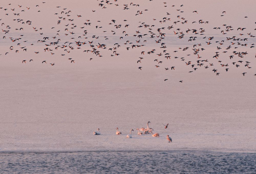 Фотография автора Олег Сухенко