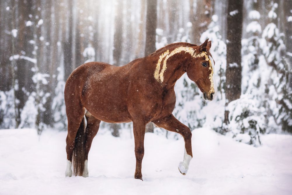 Photograph by Виктория Клименко