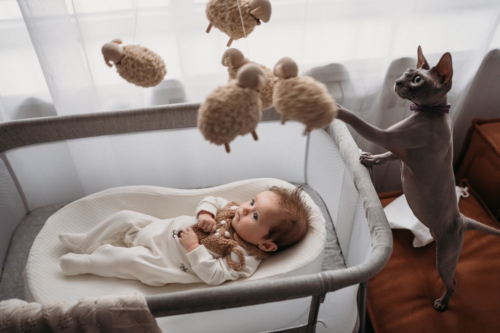 Photograph by Мария Мирончева