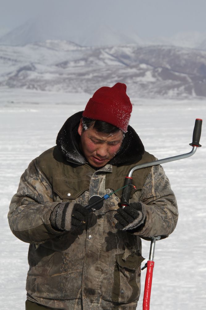 Photo #13105242