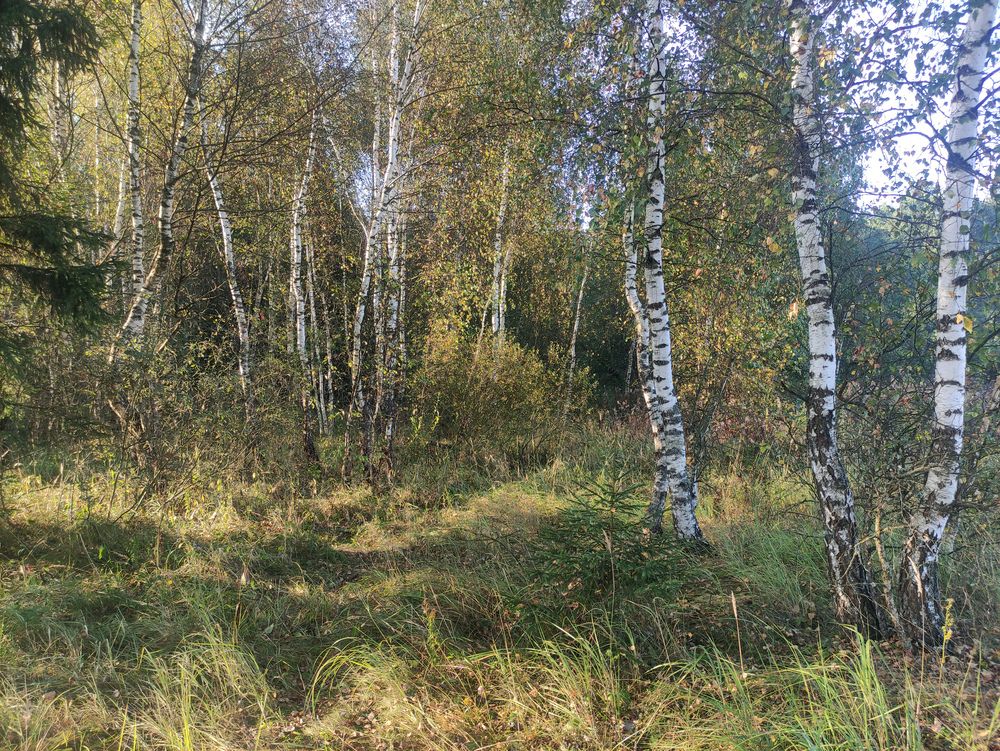 Photograph by Алексей Болтунов