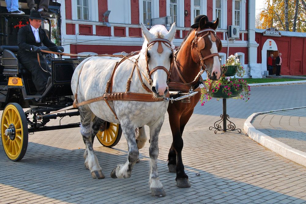 Photograph by Юрий Тимофеев