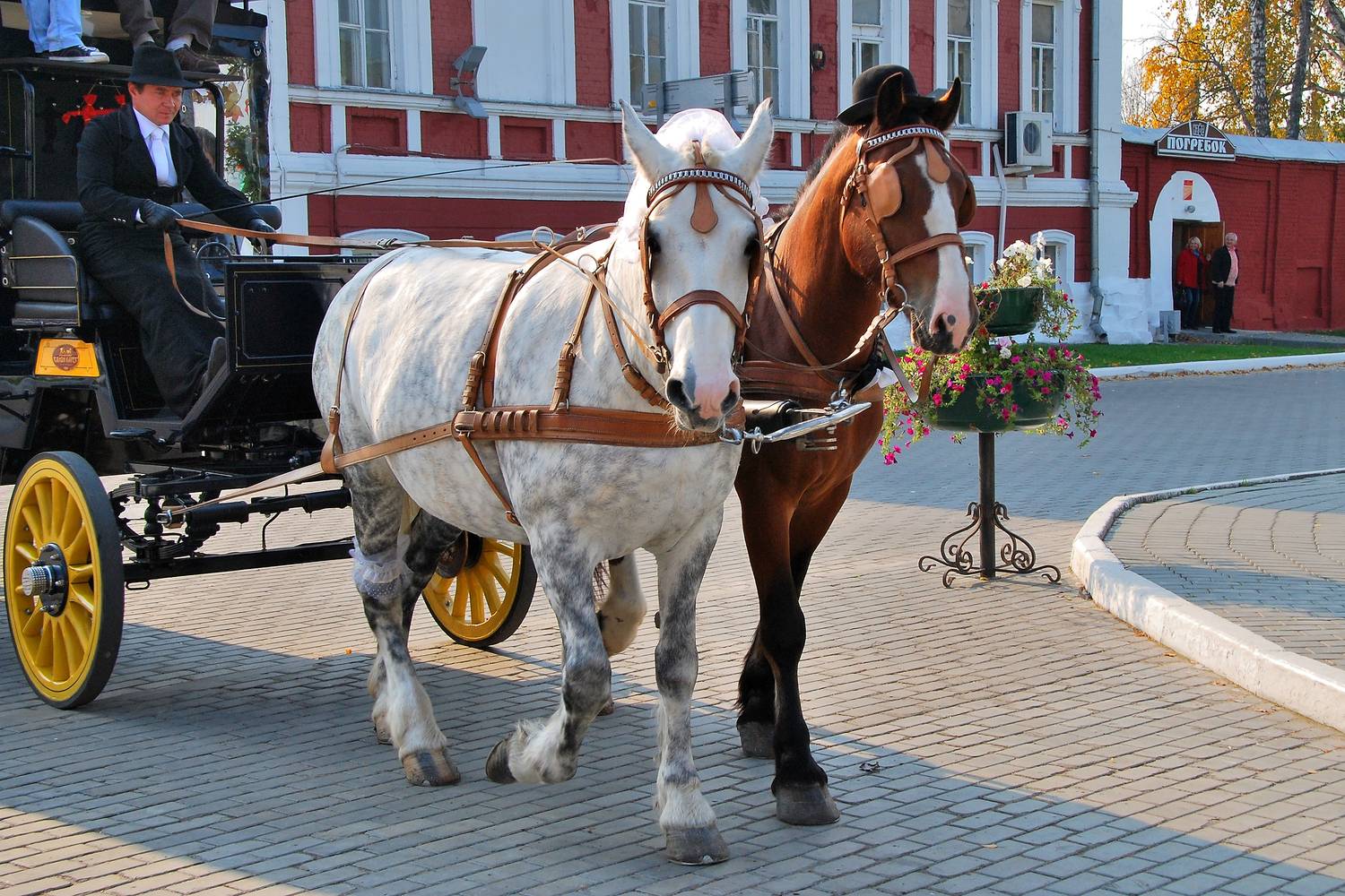Photo #13105256