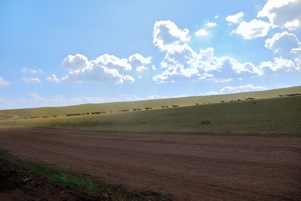 Photograph by Юрий Тимофеев