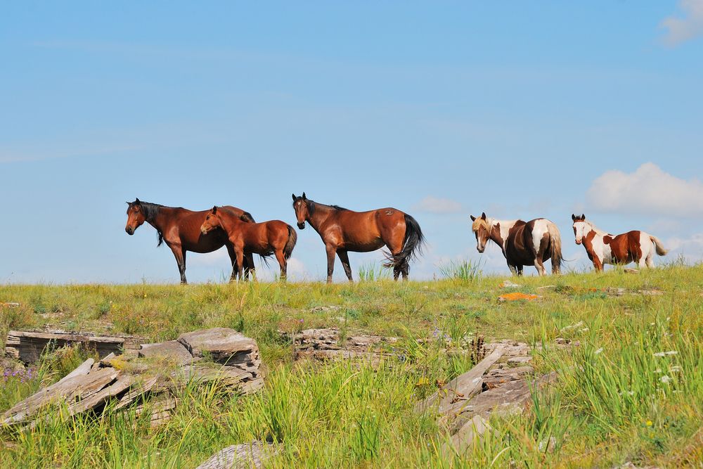 Photograph by Юрий Тимофеев