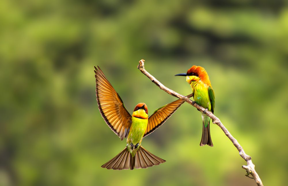 Photograph by Ahana Deb