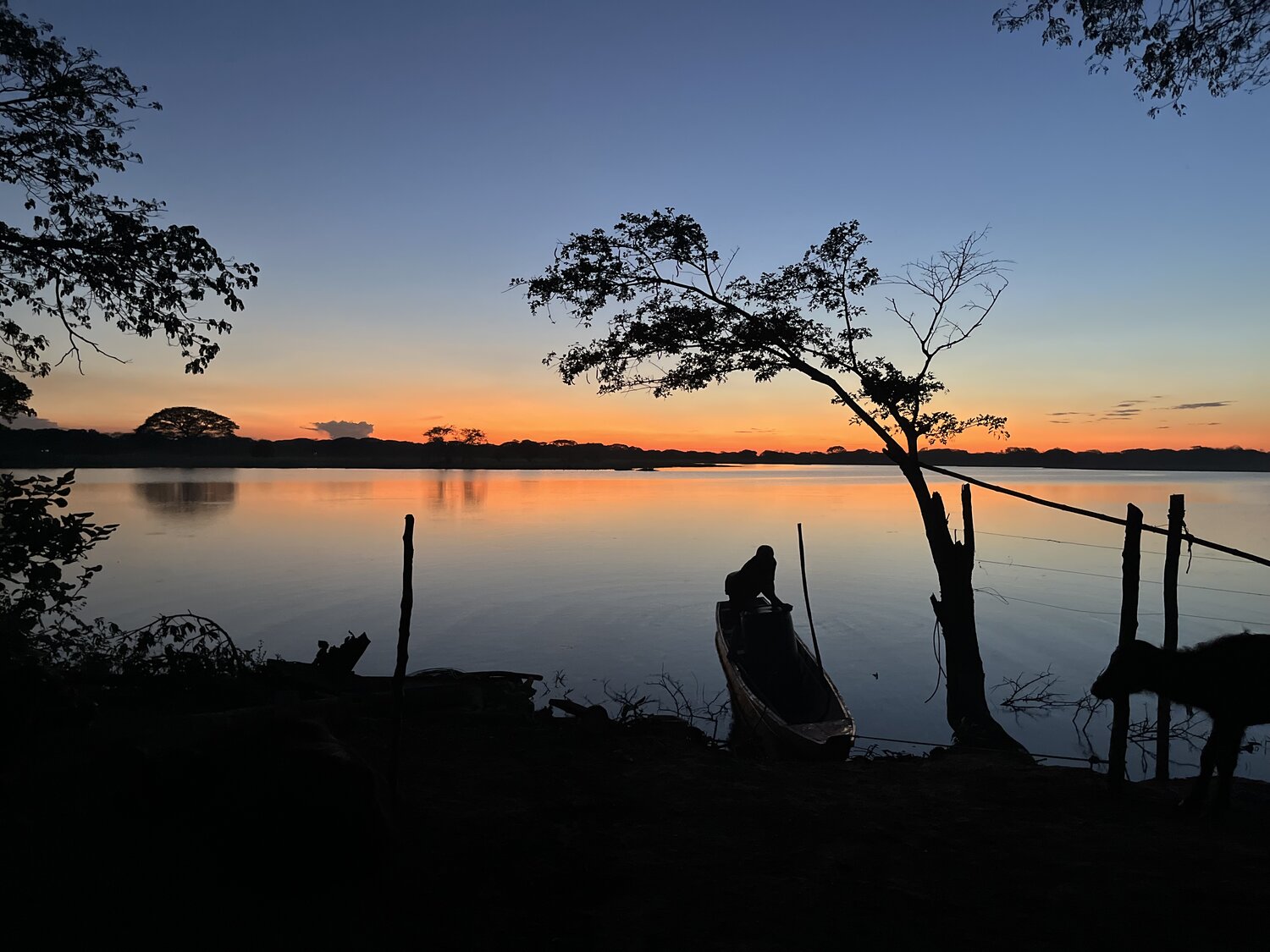 Photo #13105335