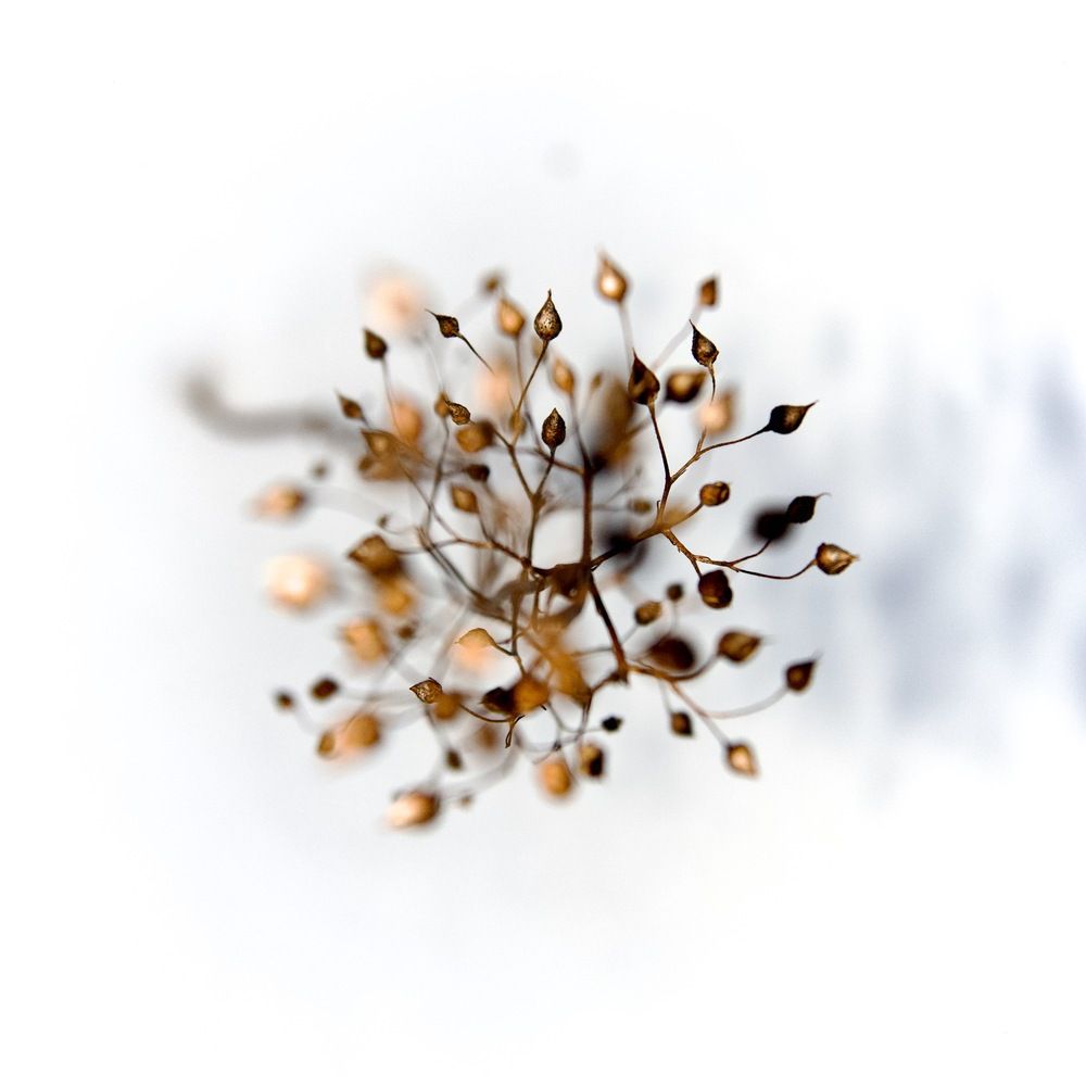 Photograph by Наталья Сельцова