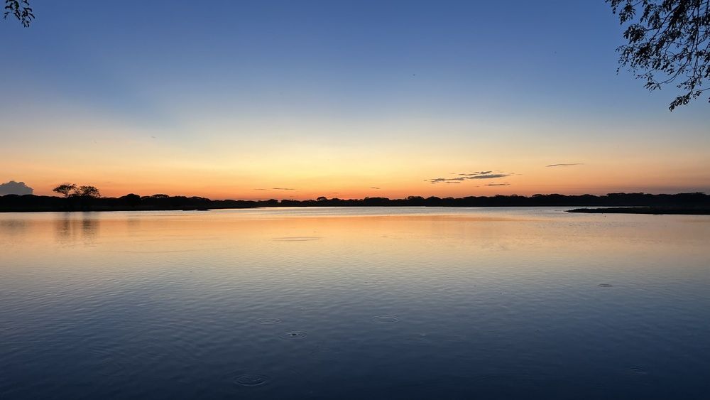 Photograph by Monica Salas